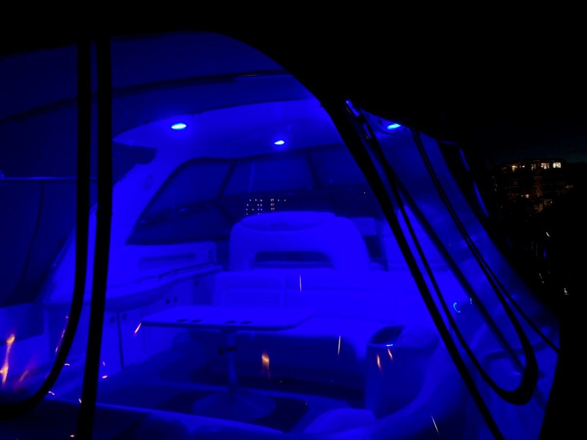 Купить SCOTT FREE 2005