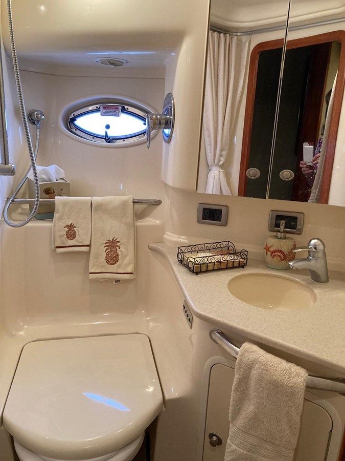 SCOTT FREE - SEA RAY