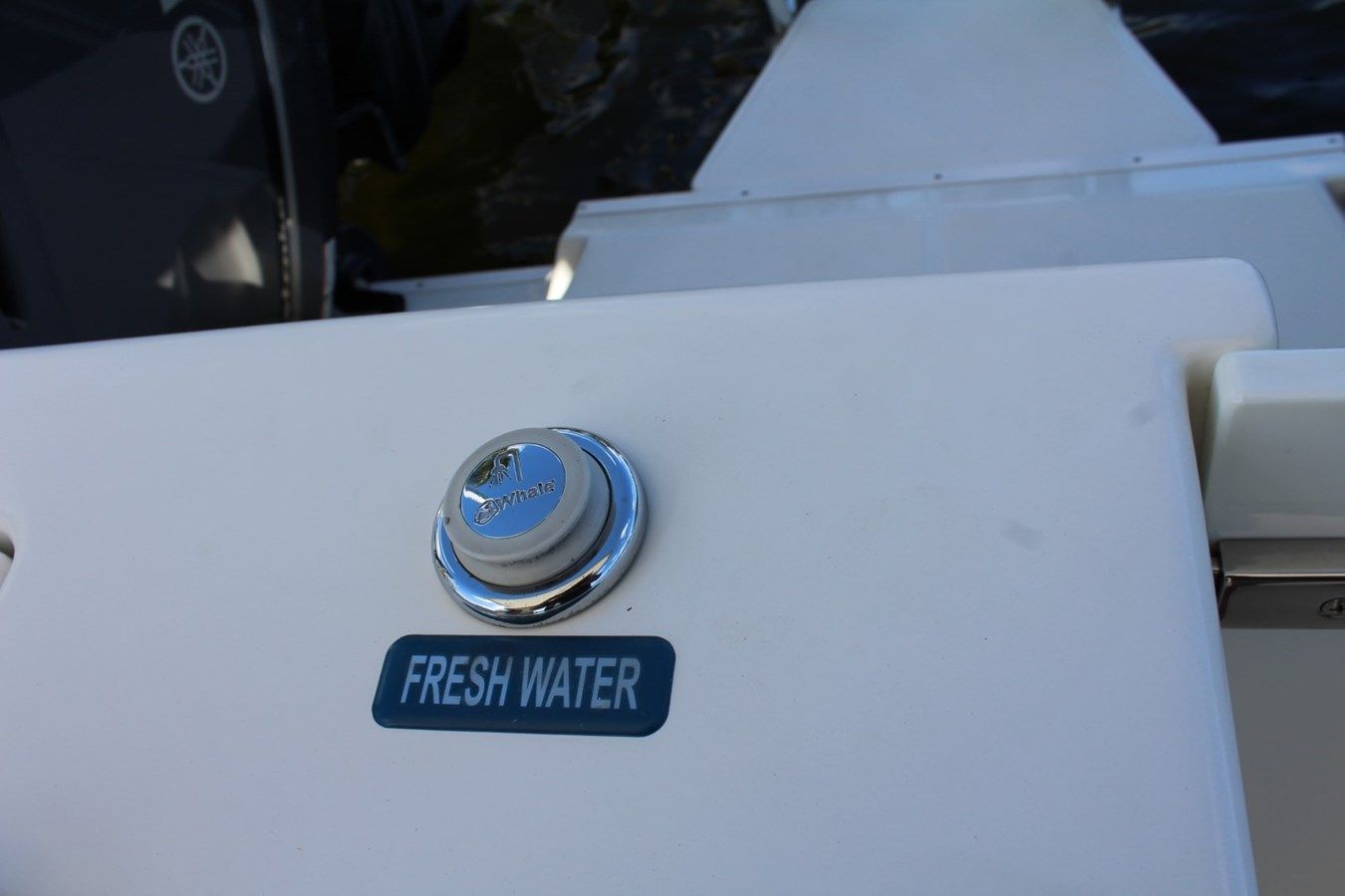 the best price on NO NAME - WORLD CAT