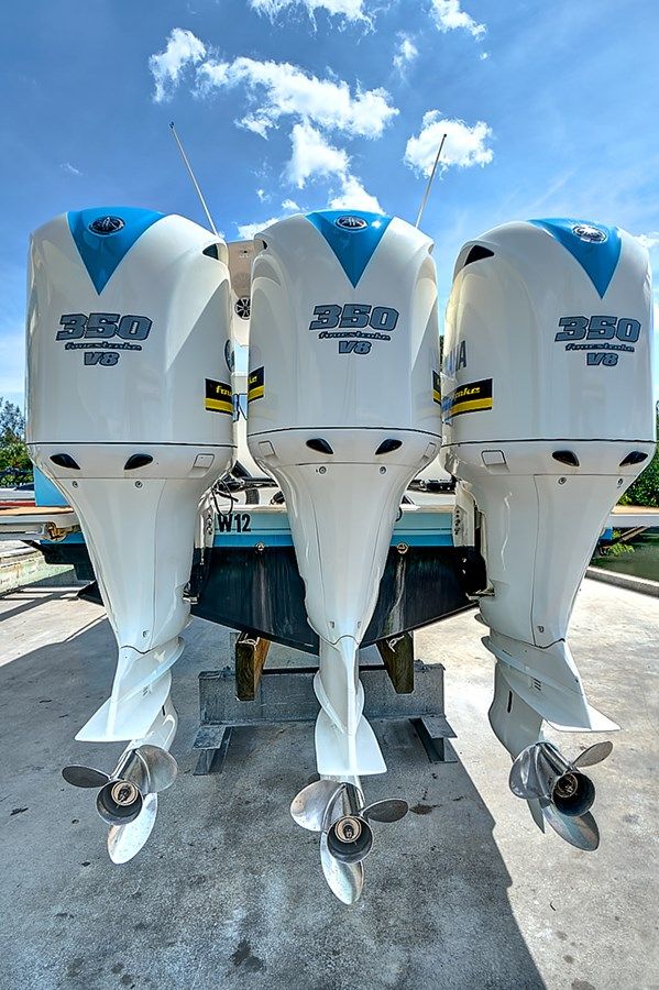 Never Give Up 2008 price