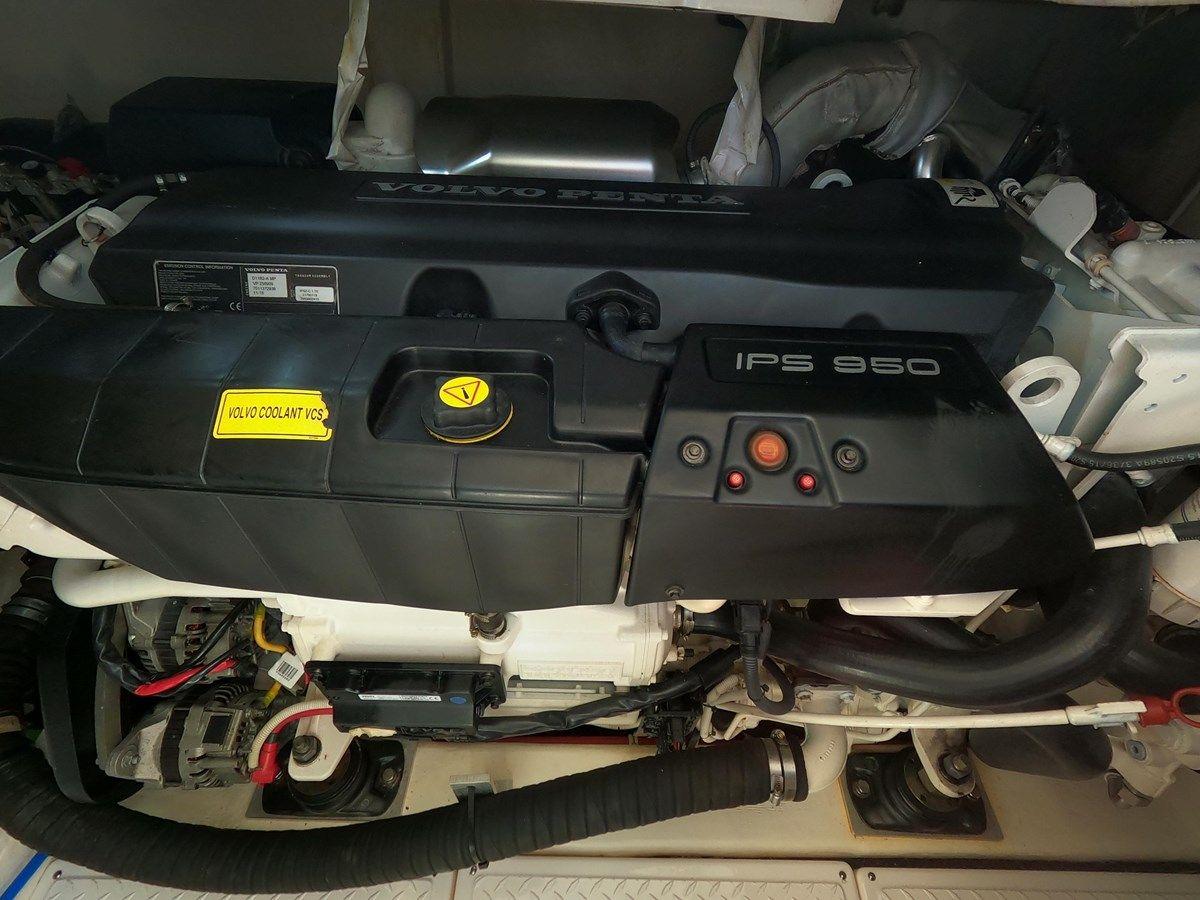 Southern Belle price