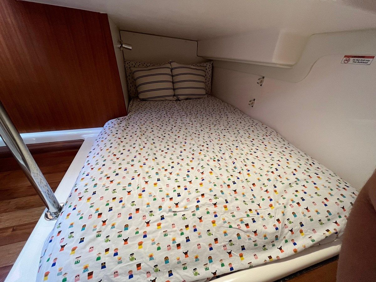 Купить Snot Easy