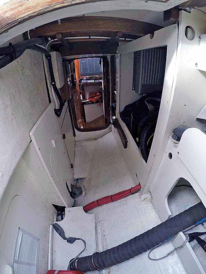 Лучшая цена на NARWHAL 56