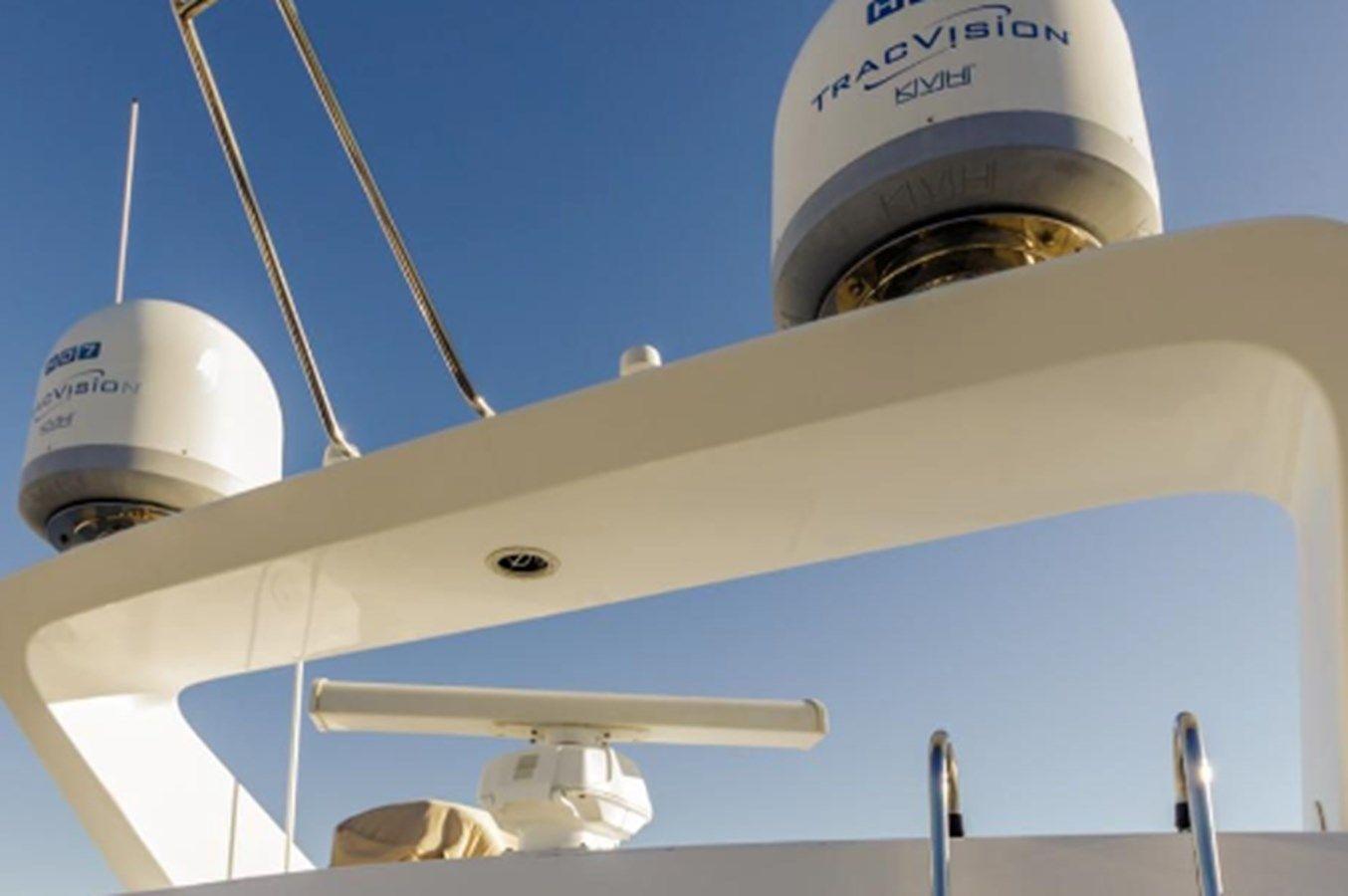 The Flying Wasp - Johnson