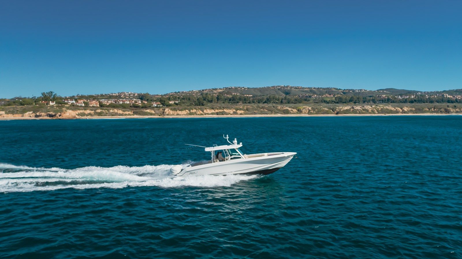 Купить Robin Ann