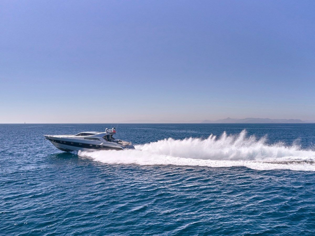 MY HUNTING STAR 2006 price