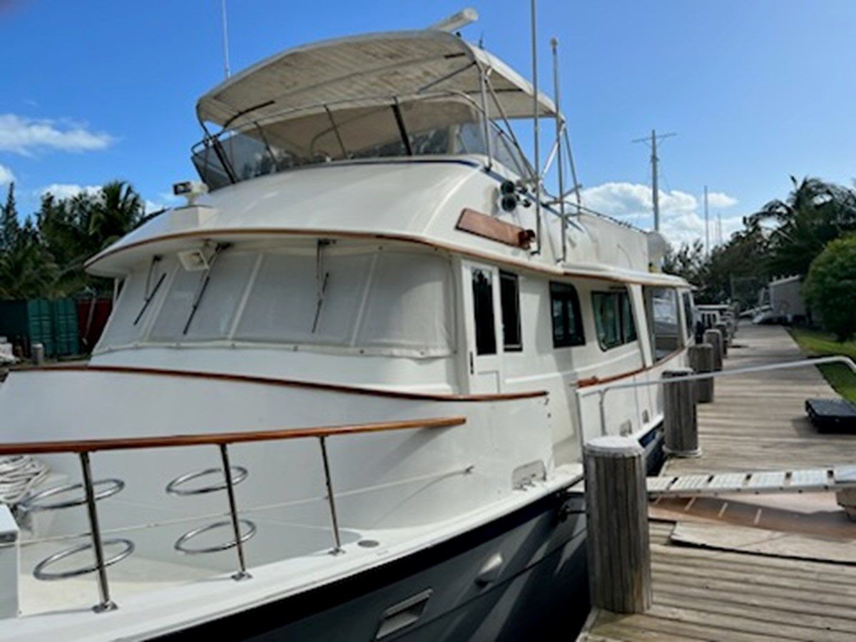 Купить Beginner's Mind 65 Long Range Cruiser