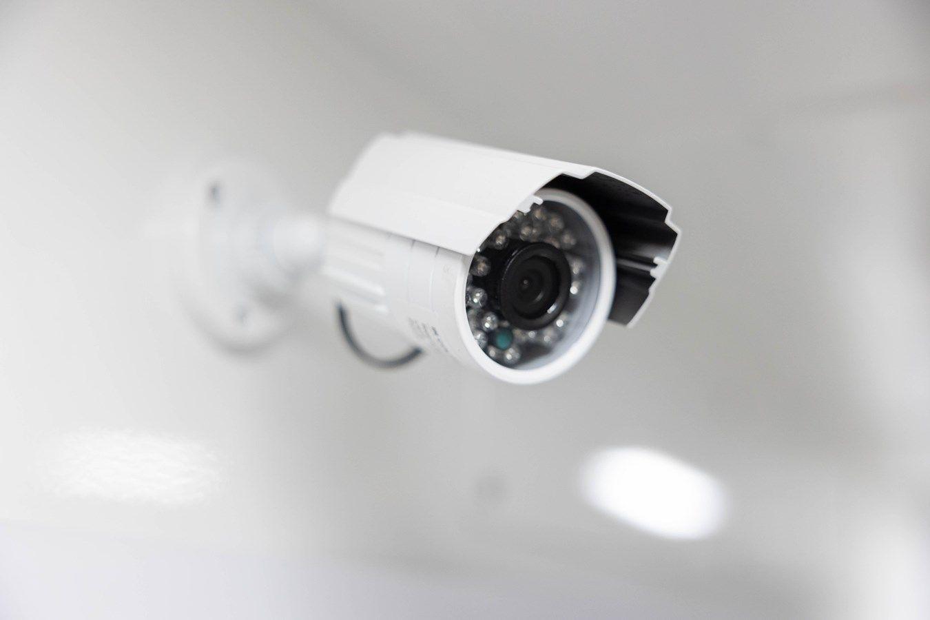 Buy a yacht HANG LOOSE 2021