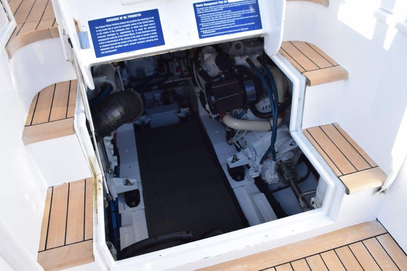 CAZADORA - CUSTOM CAROLINA