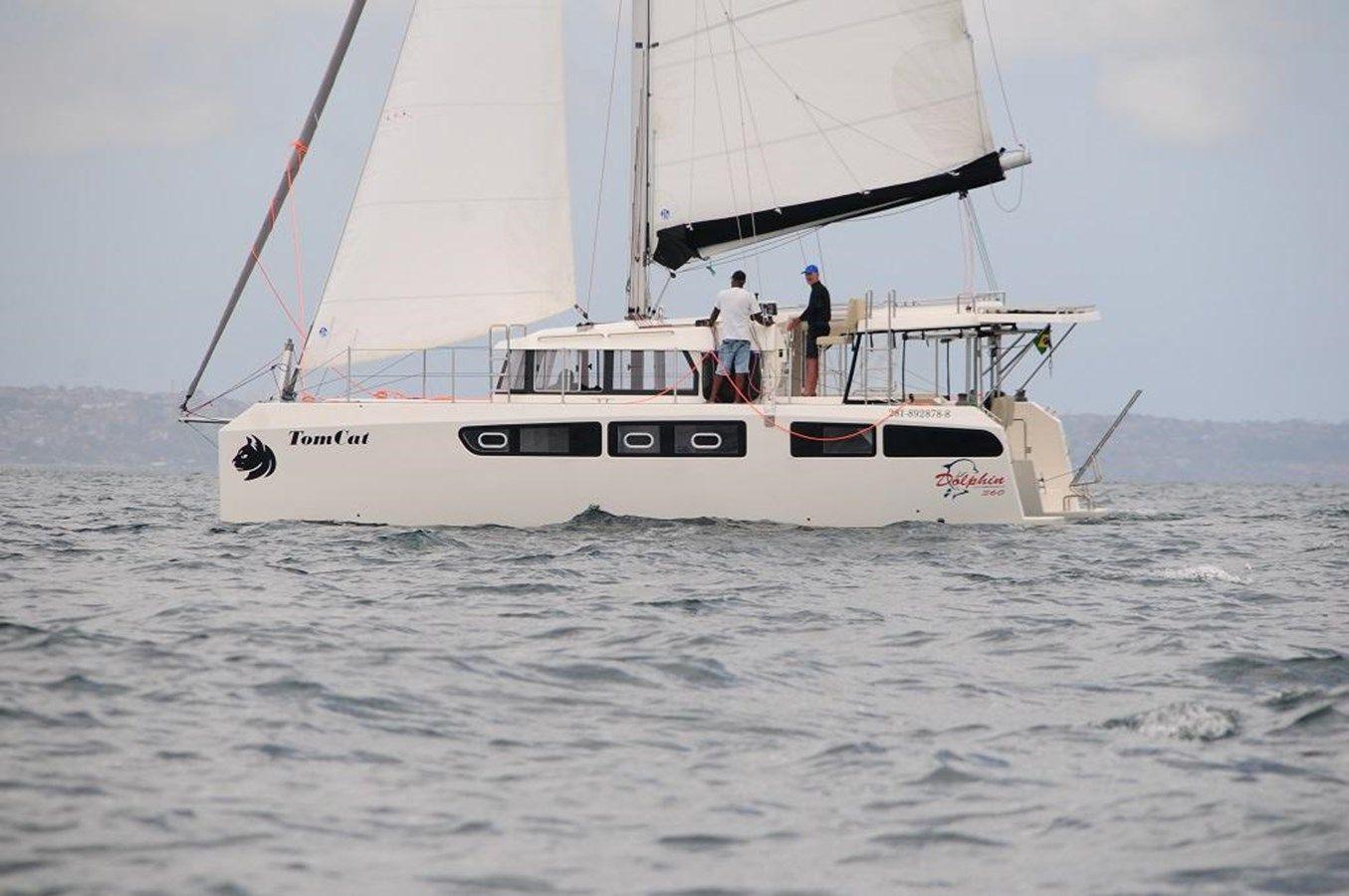 the best price on 2023 Dolphin 380 2023