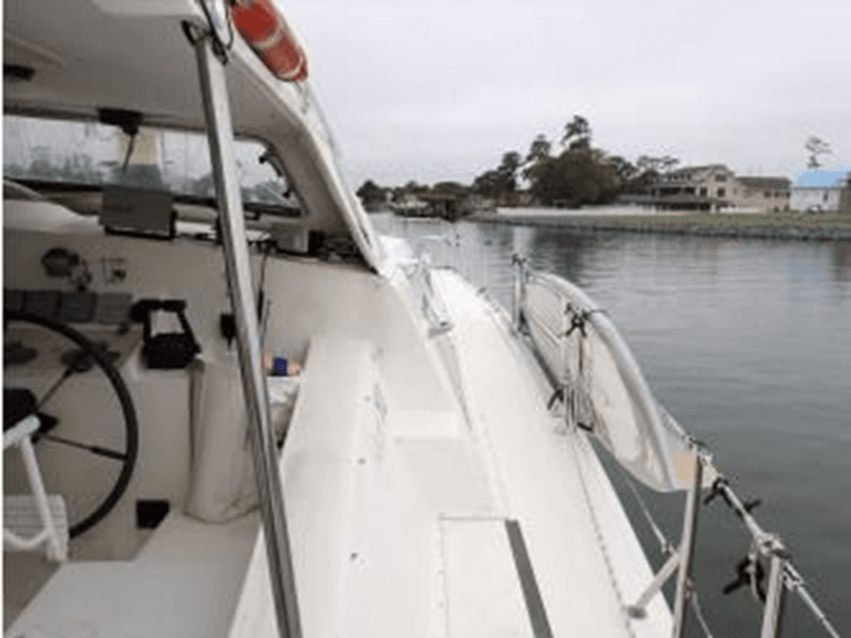 Sun Cat - PROUT price