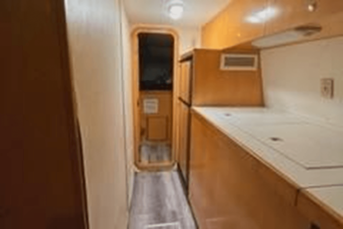 Sun Cat - PROUT price