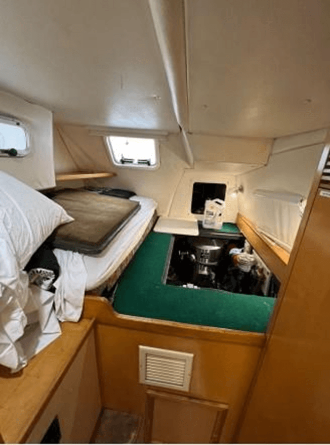 the best price on Sun Cat 49