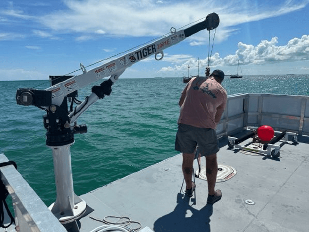 2024 Custom 49 Pax 2024 yacht sale