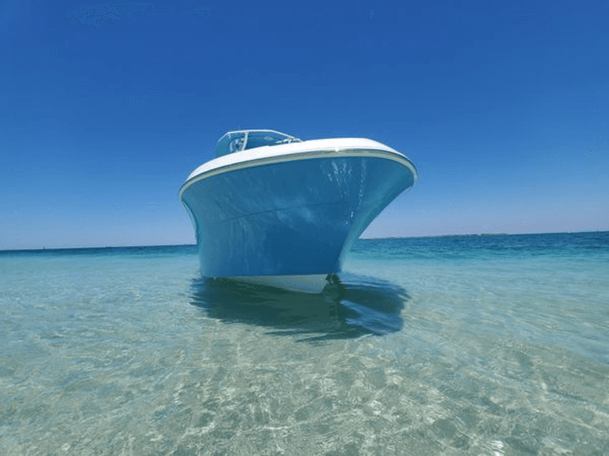 Купить 2022 Aquasport 2300 Center Console 2300 Center Console