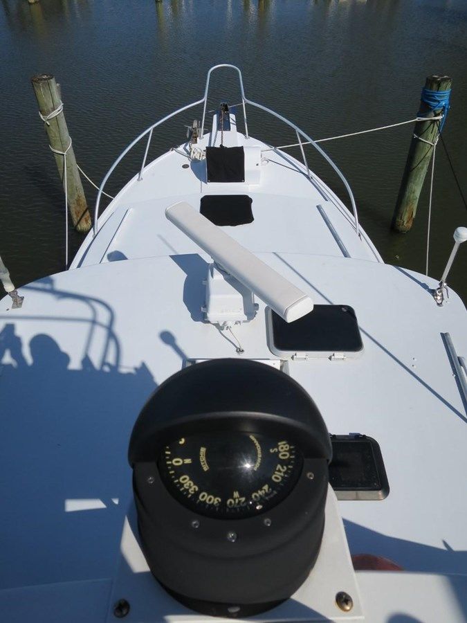 Лучшая цена на Miss Redneck