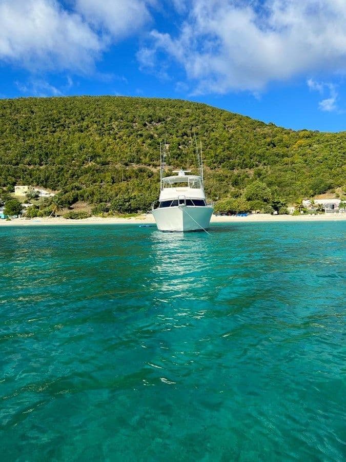 the best price on Viking 54 Convertible 2010