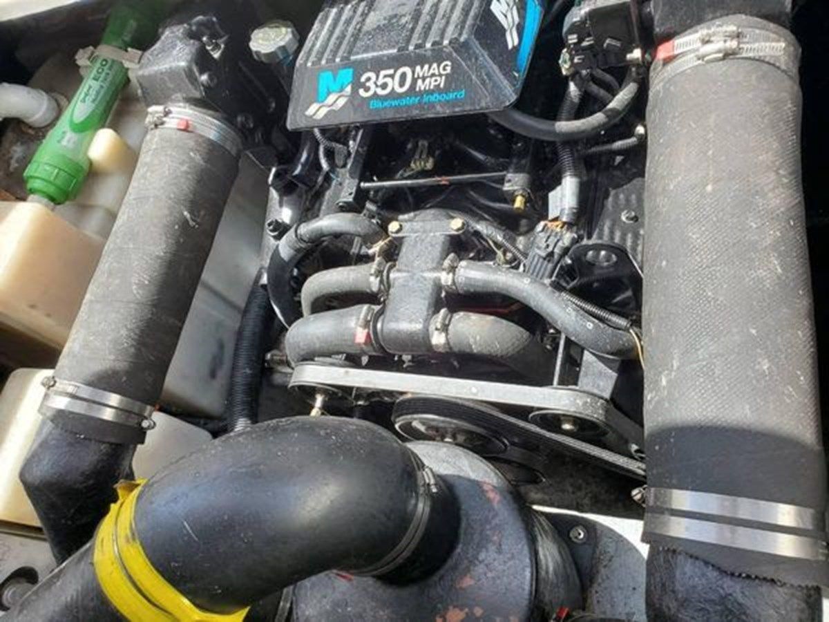 Buy a yacht The Boat 310 Sundancer