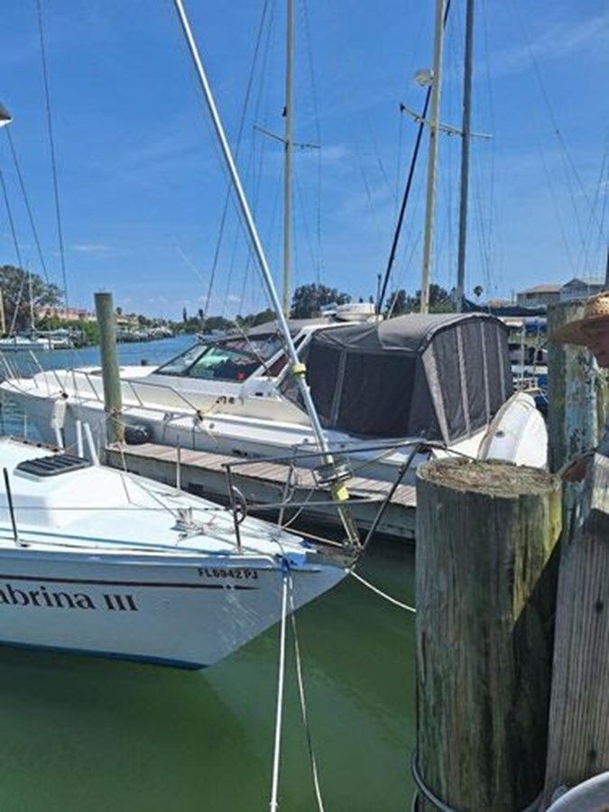 Купить яхту 1985 Sea Ray 390 Express Cruiser 390 Express Cruiser в Shestakov Yacht Sales