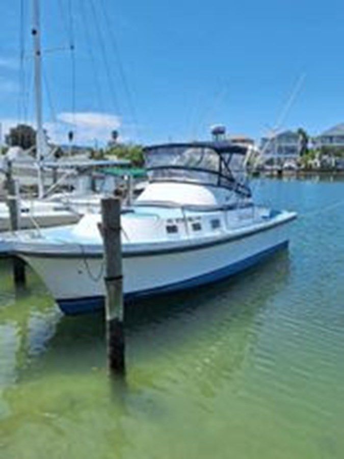 Buy a 1989 Albin 32 Sportfisher 29 at Shestakov Yacht Sales