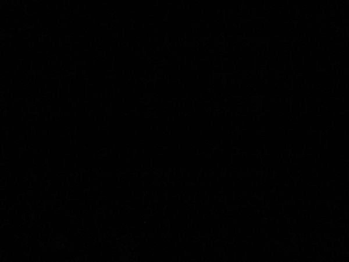 the best price on 1996 Sea Ray 55 Sedan Bridge