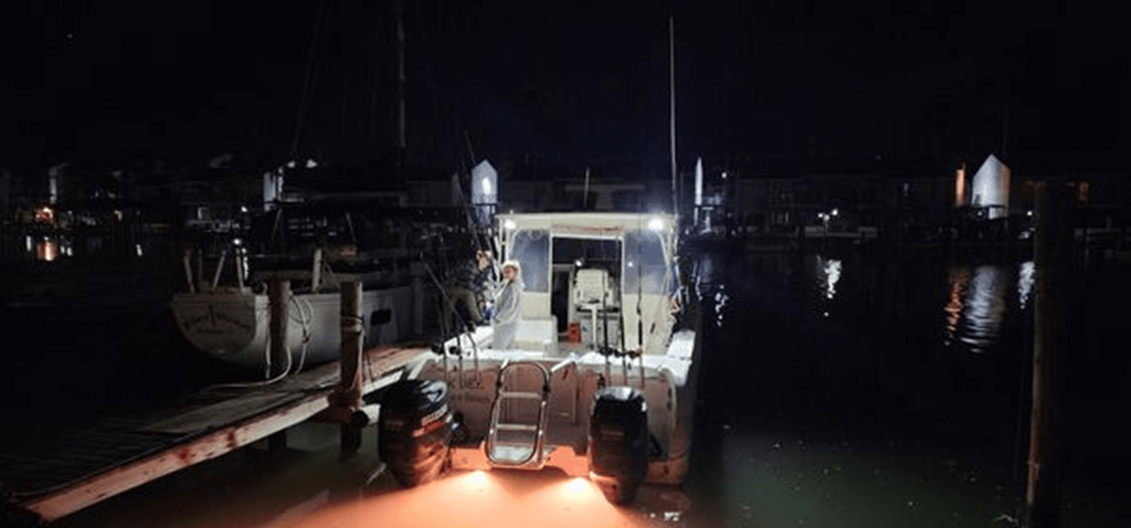 K DEE - WORLD CAT price