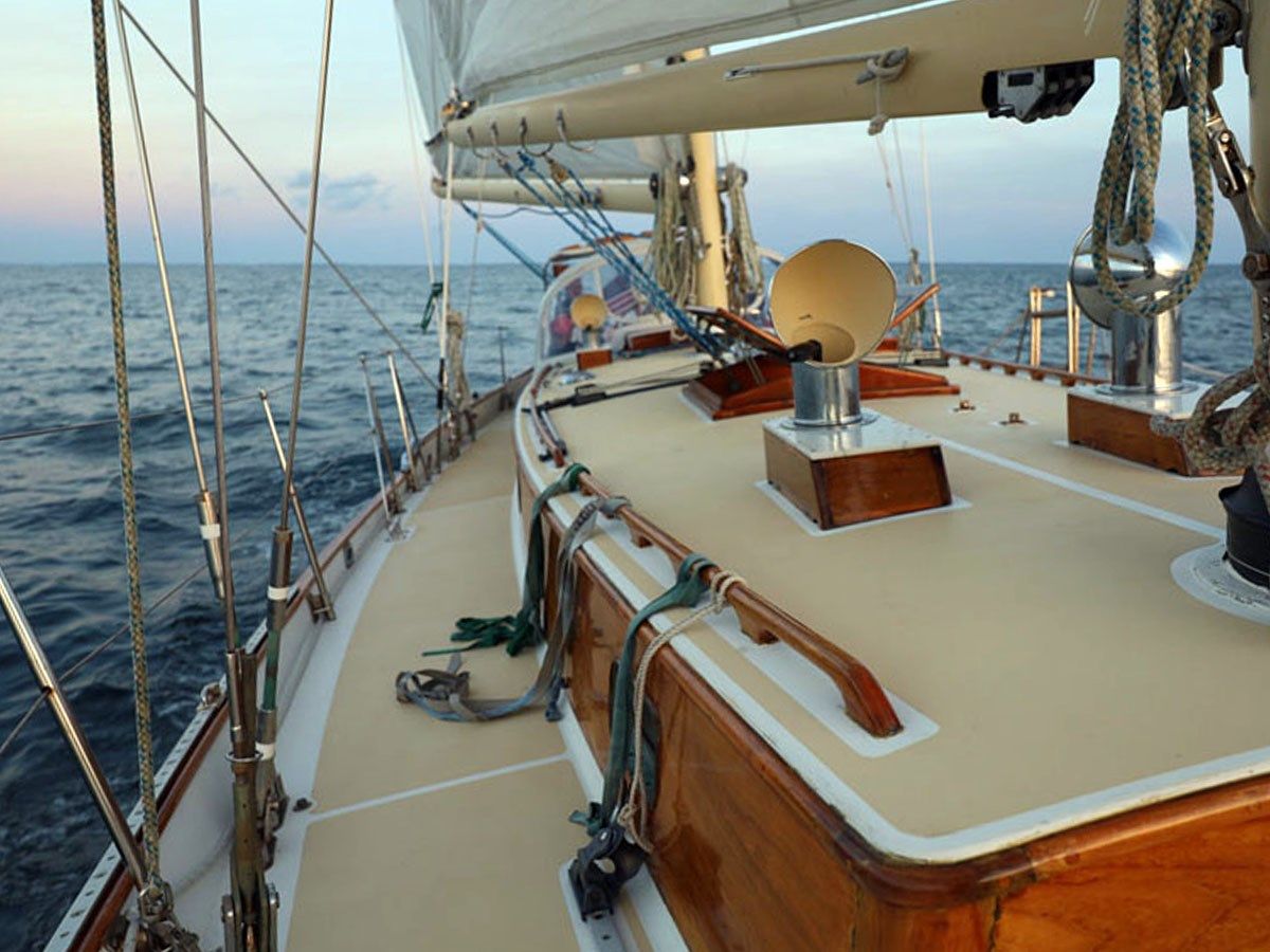 Купить NARWHAL - CHERUBINI