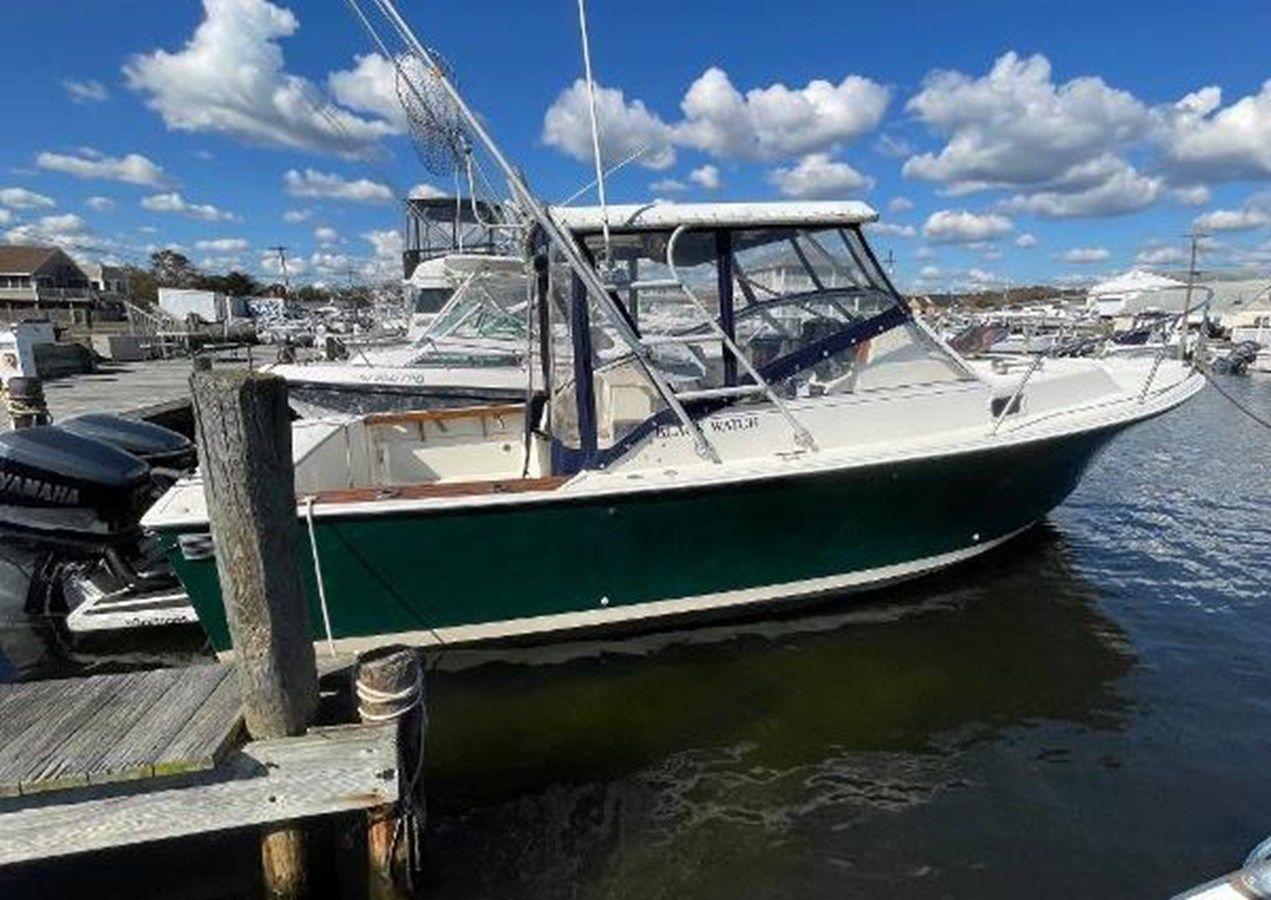 the best price on 1989 Black Watch Express