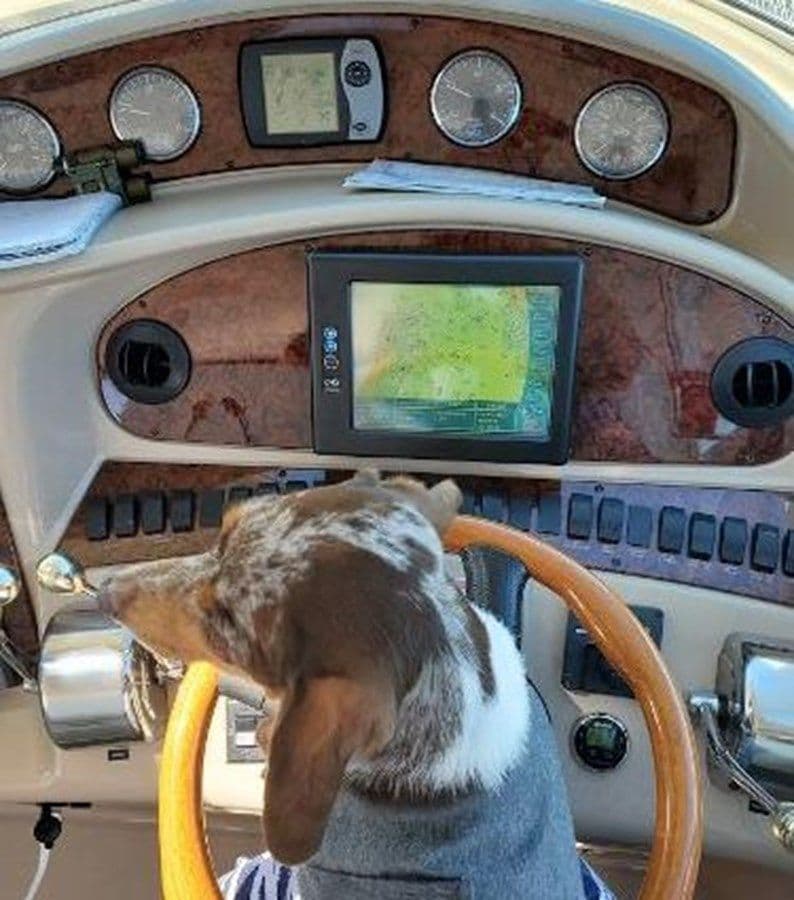 Купить 2003 Sea Ray 390 Motor Yacht 41