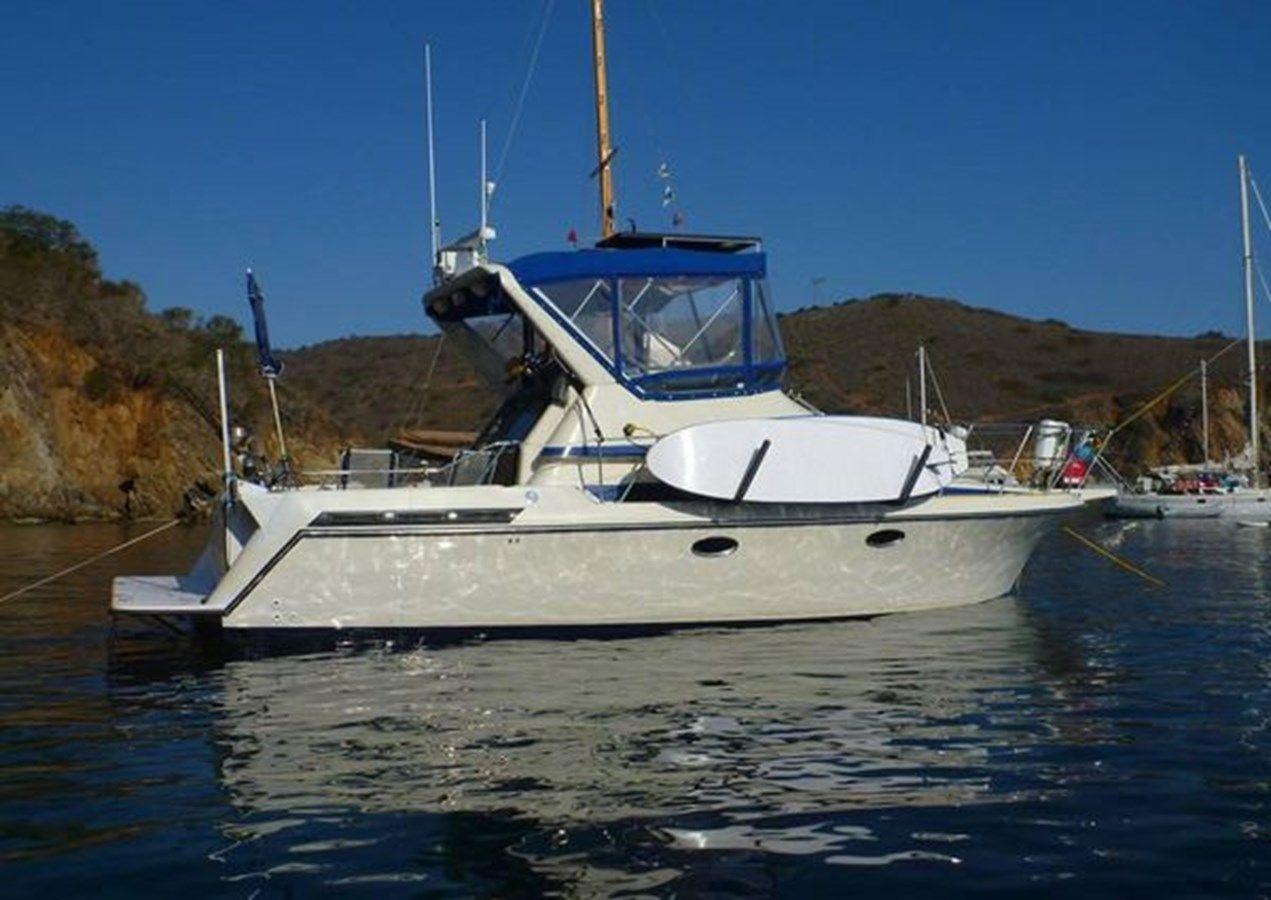 the best price on 1989 Navigator 336
