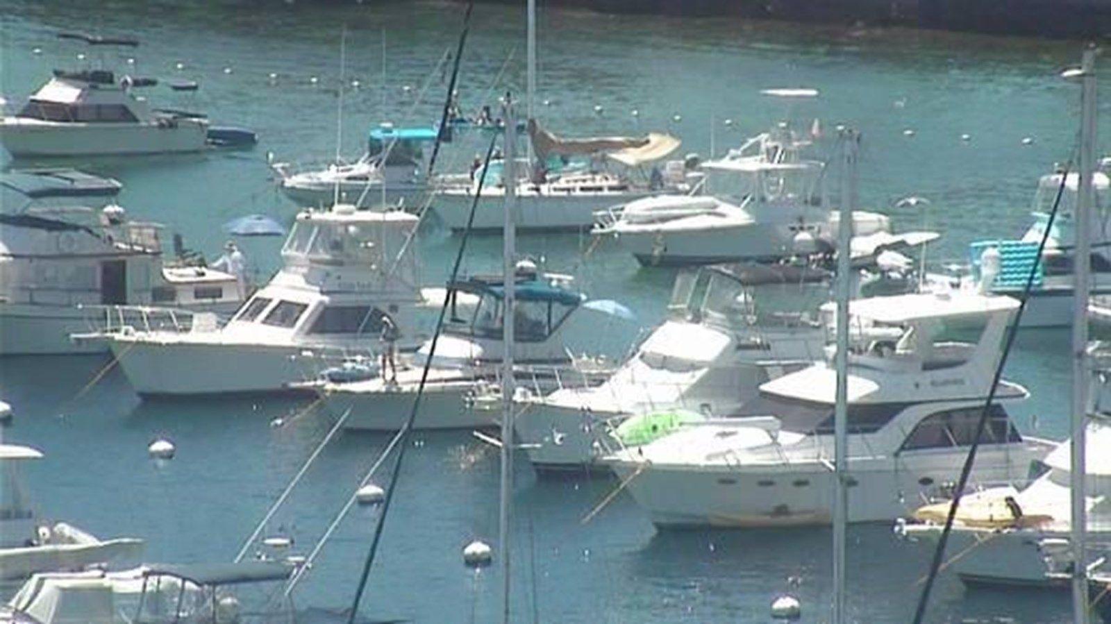 1989 Navigator 336 - NAVIGATOR price