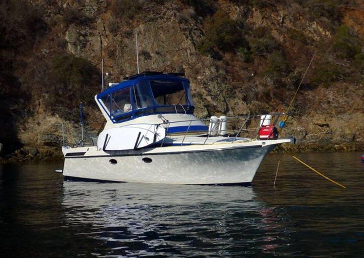 1989 Navigator 336