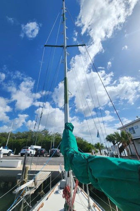 Serene - HUNTER price