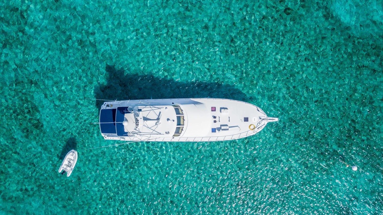 Купить MAHA 82