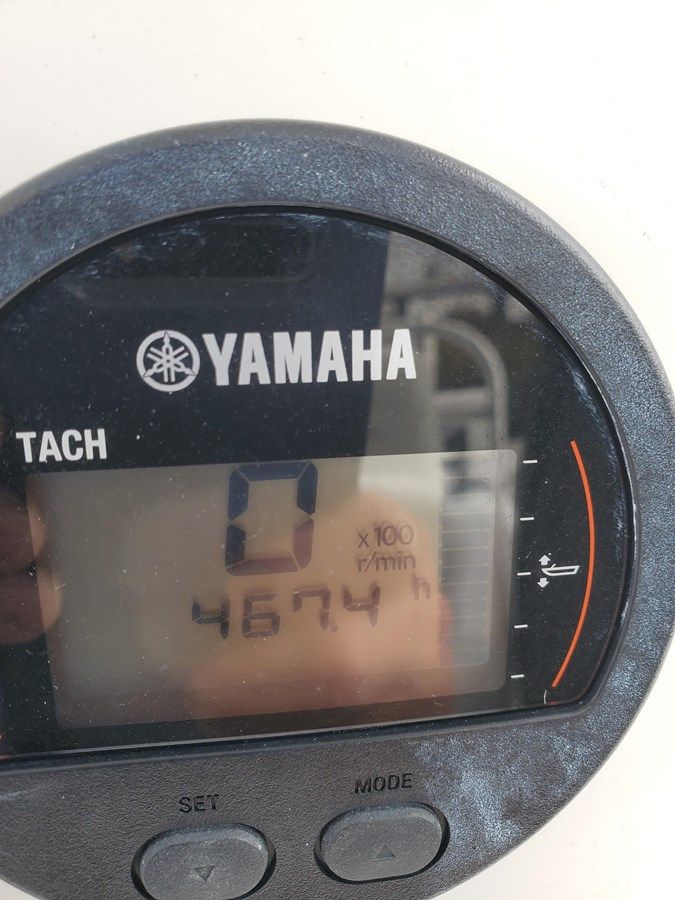 Лучшая цена на Jolly Roger 32