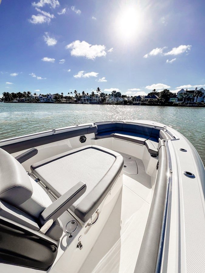 Deep Blue - Boston Whaler price