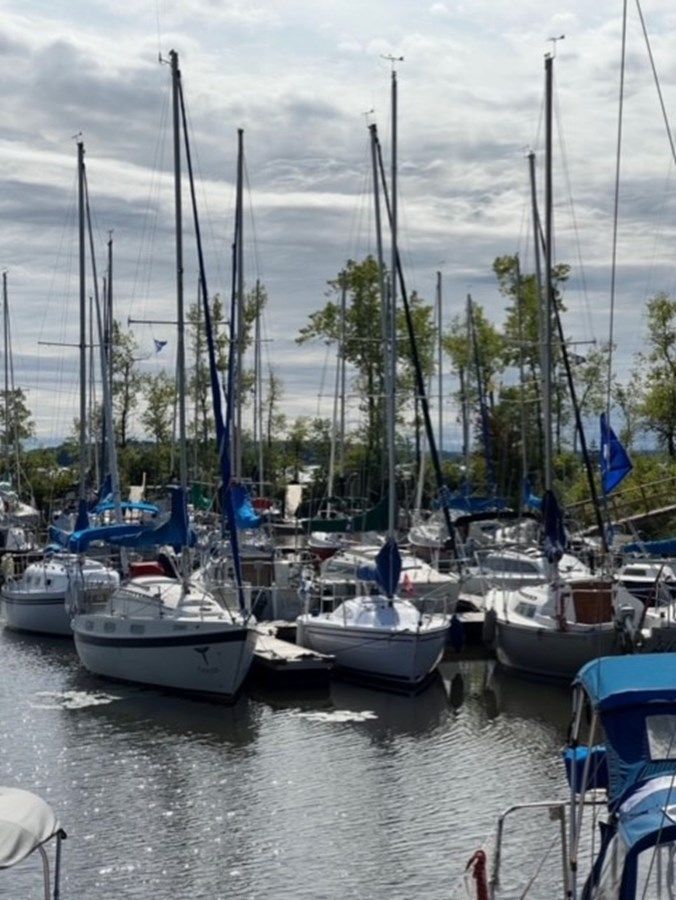 Buy a Moment - Catalina Yachts at Shestakov Yacht Sales