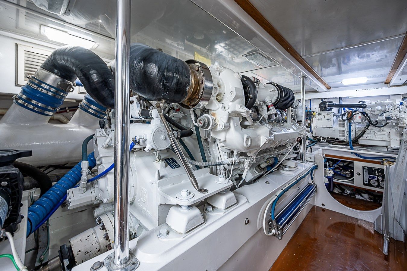 WILL RISE - CUSTOM CAROLINA