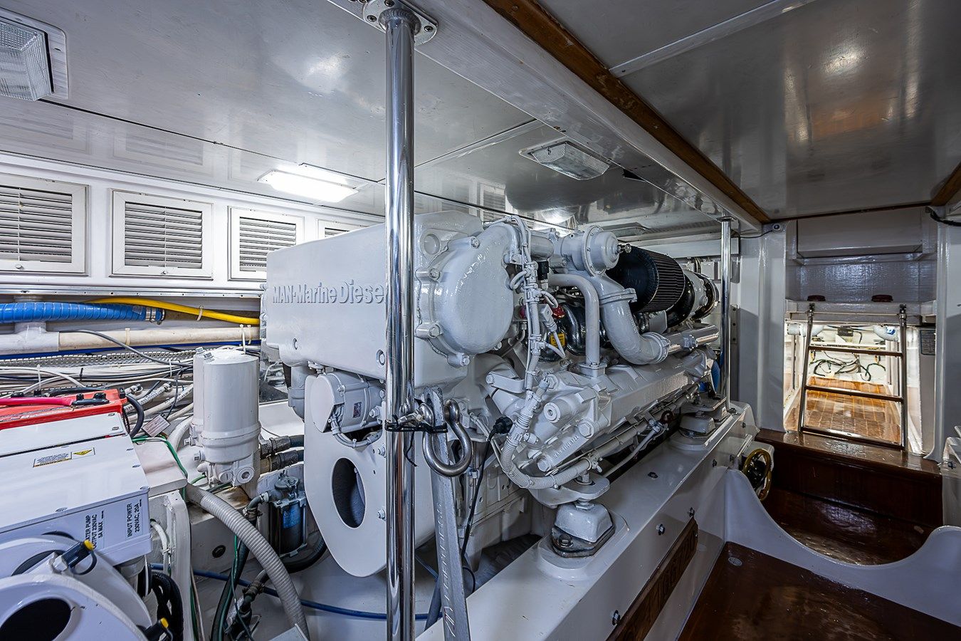 WILL RISE - CUSTOM CAROLINA