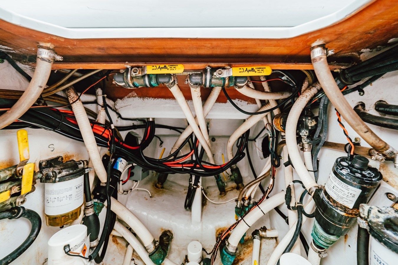 SUN SCREAM - Contender Boats price