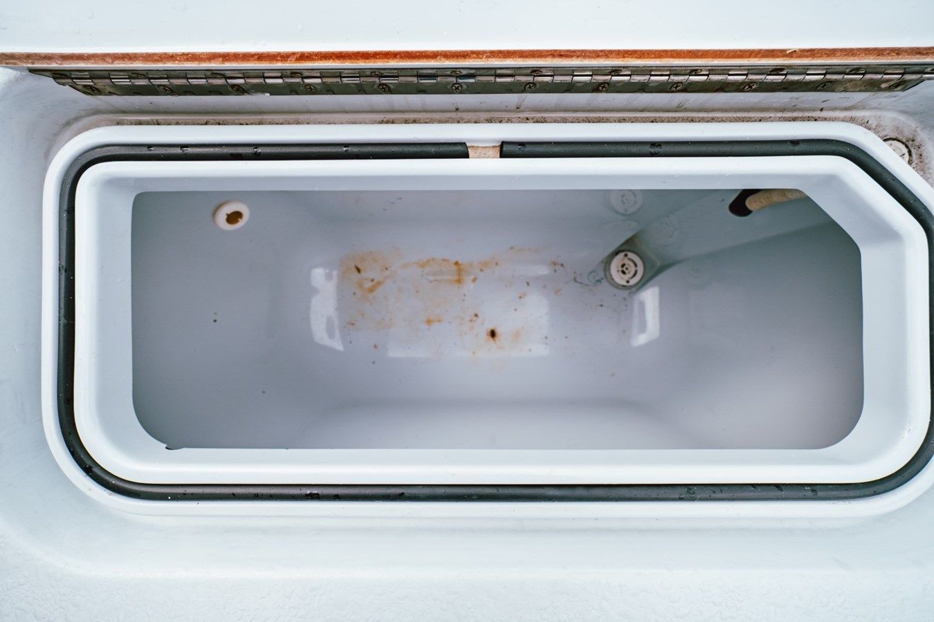 SUN SCREAM - Contender Boats