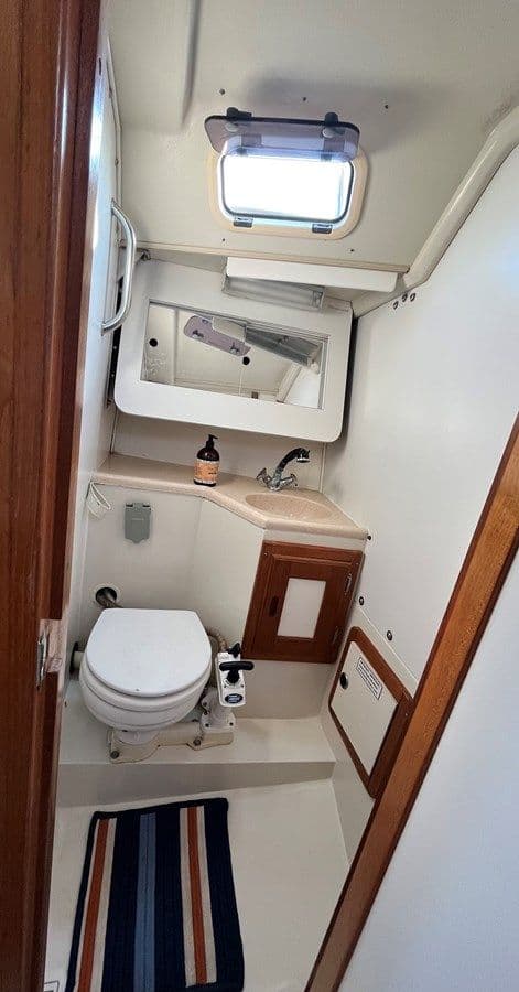 Лучшая цена на Purple Shamrock