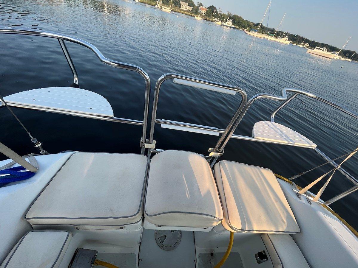 Купить Purple Shamrock 1997