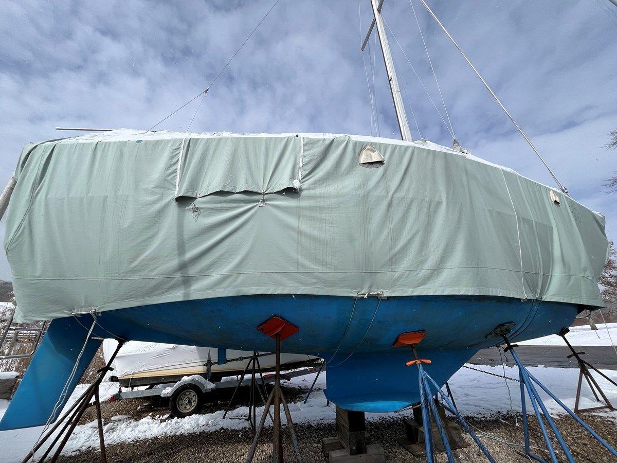 Purple Shamrock 1997