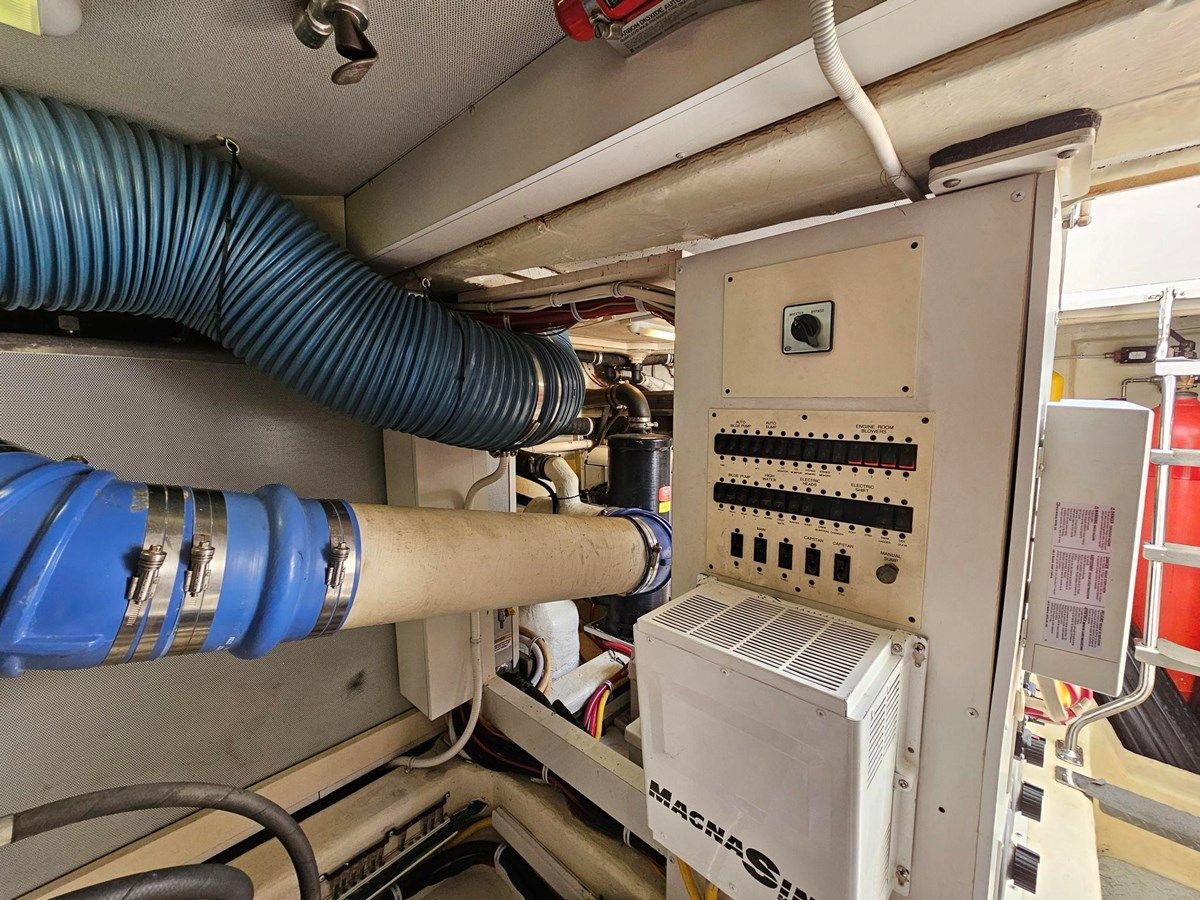 Yasmine Ann 59 price