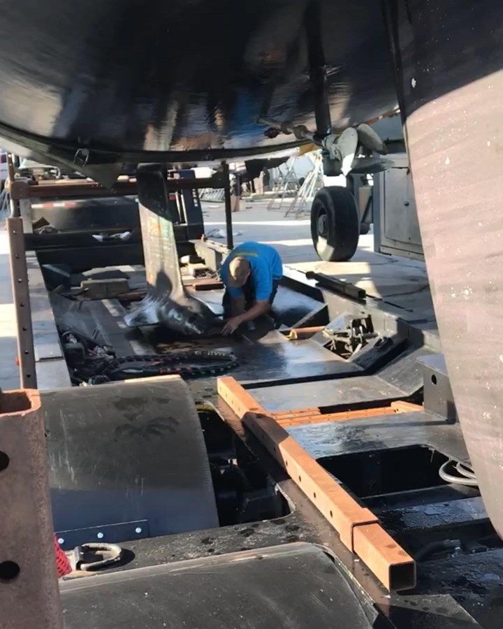 EMERALD First 42s7 price