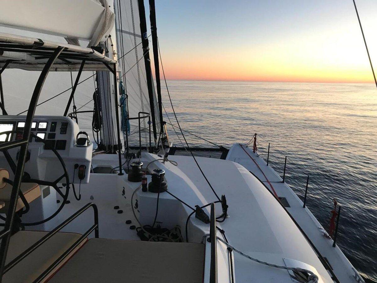 Deo Juvante 62 price