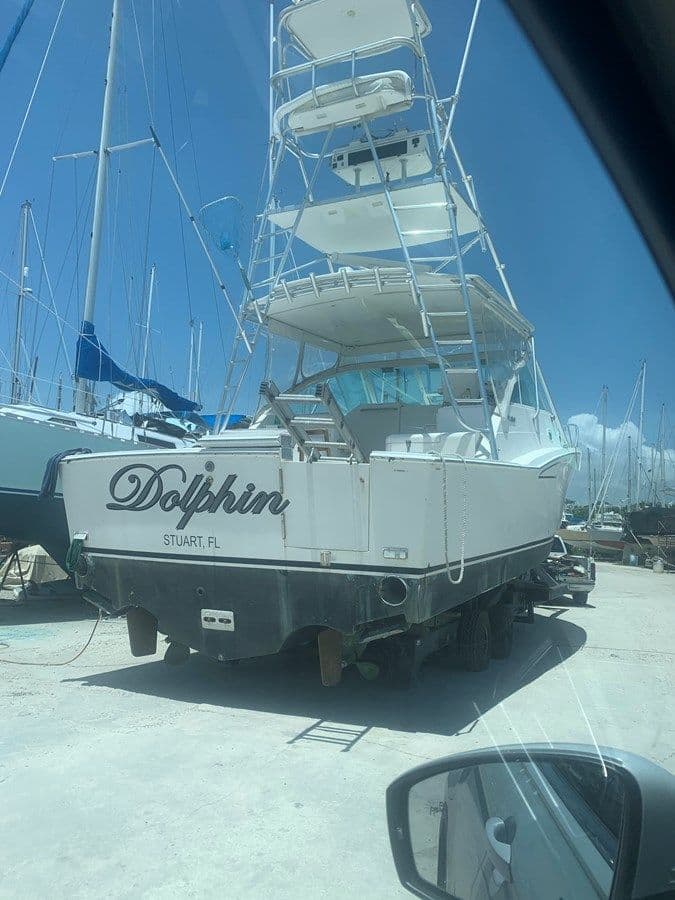 the best price on Dolphin