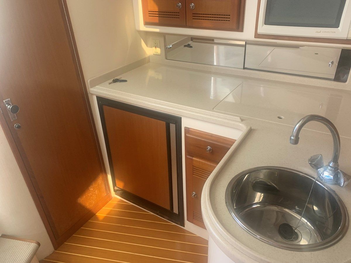 Dolphin - Cabo Yachts