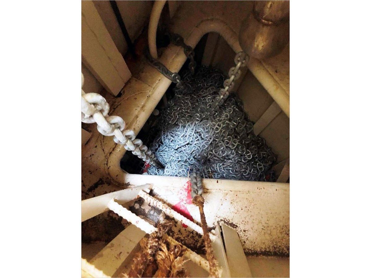 the best price on SEA MONSTER